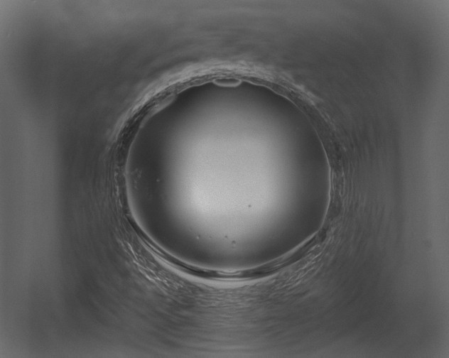 X0000054441496200508011416