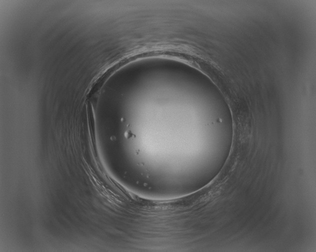 X0000054441497200508011416