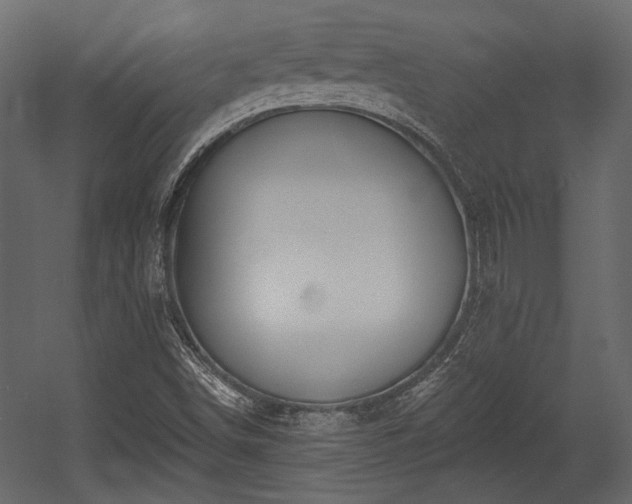 X0000054441498200508011416