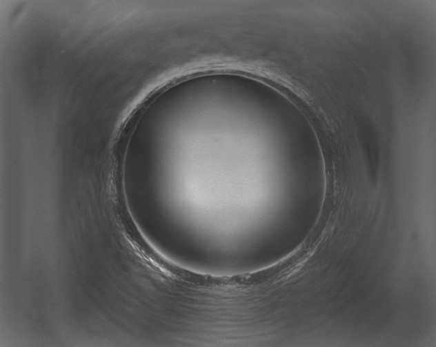 X0000054441502200508011416