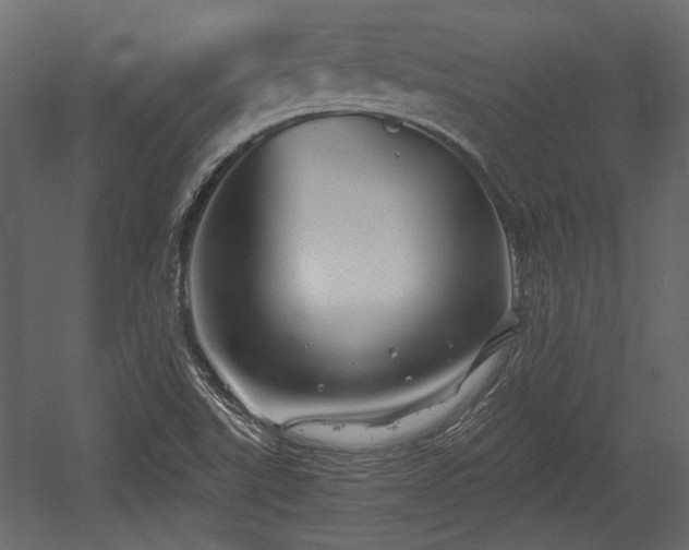 X0000054441507200508011416