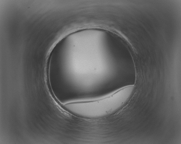 X0000054441512200508011416