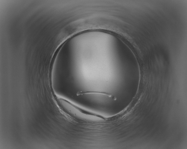 X0000054441513200508011416