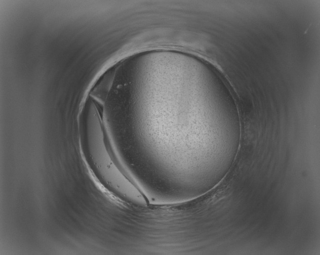 X0000054441515200508011416