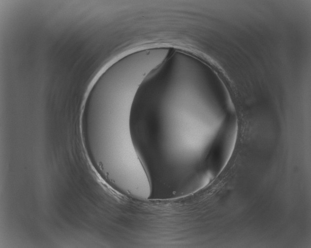 X0000054441516200508011416