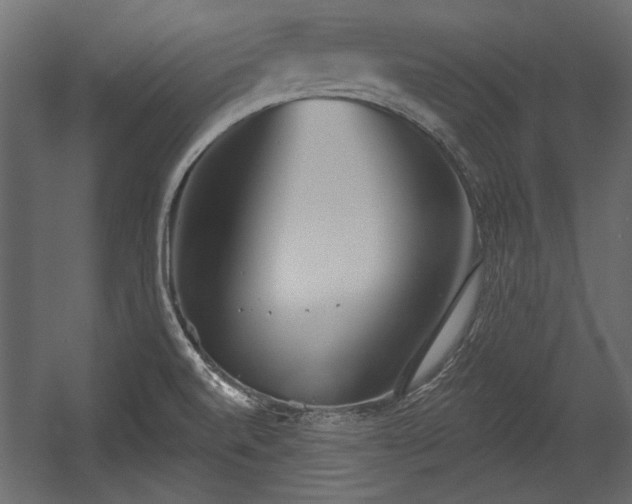X0000054441520200508011416