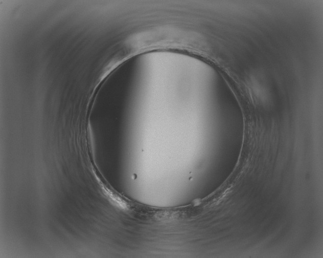 X0000054441521200508011416