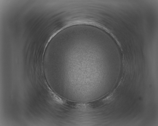 X0000054441529200508011416