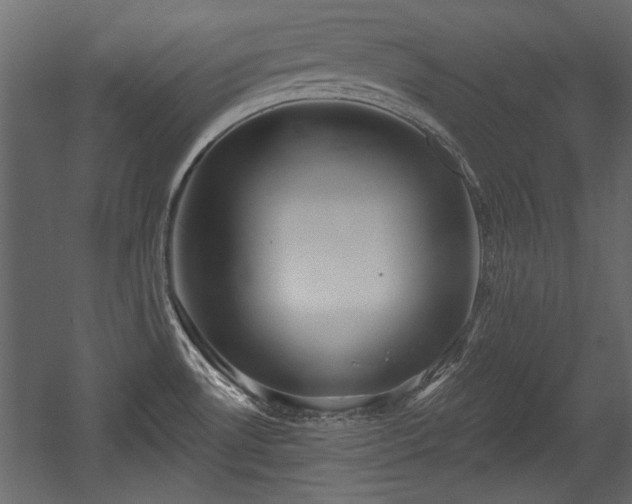 X0000054441530200508011416