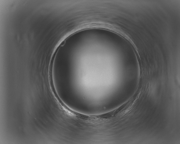 X0000054441533200508011416