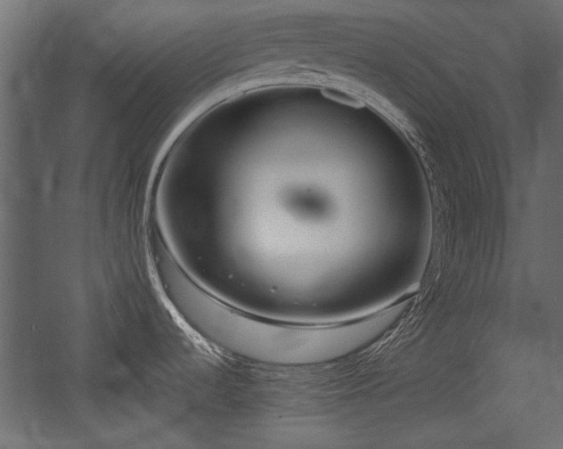 X0000054441536200508011416