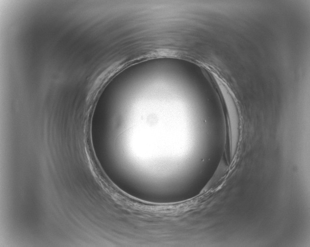 X0000054440001200508051911