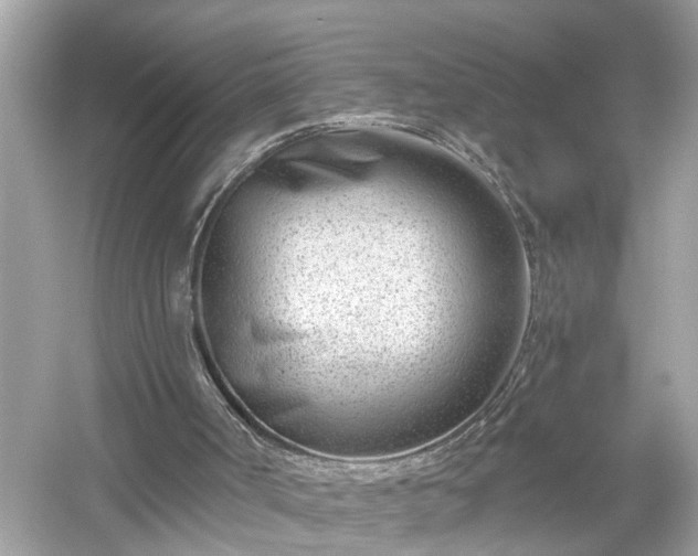 X0000054440002200508051911