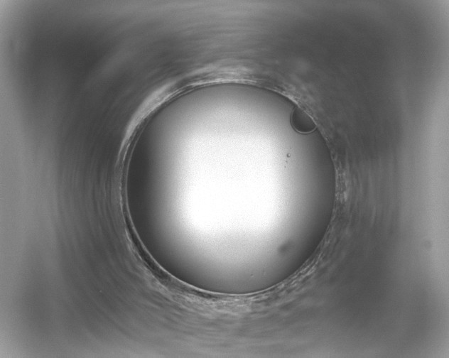 X0000054440004200508051911