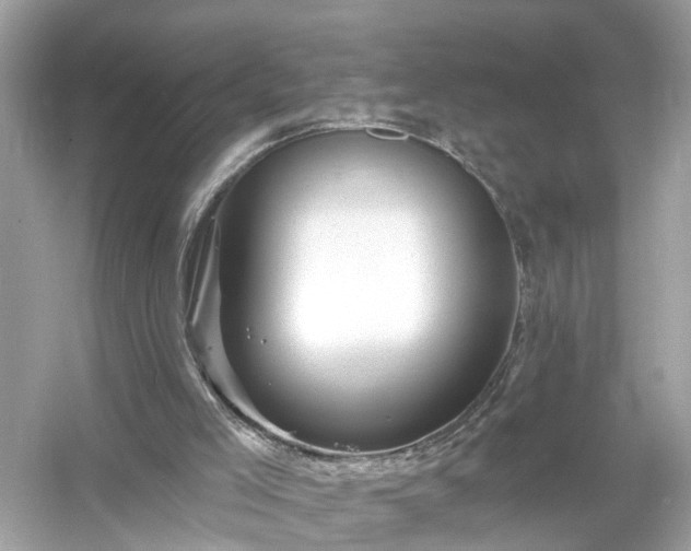 X0000054440005200508051911