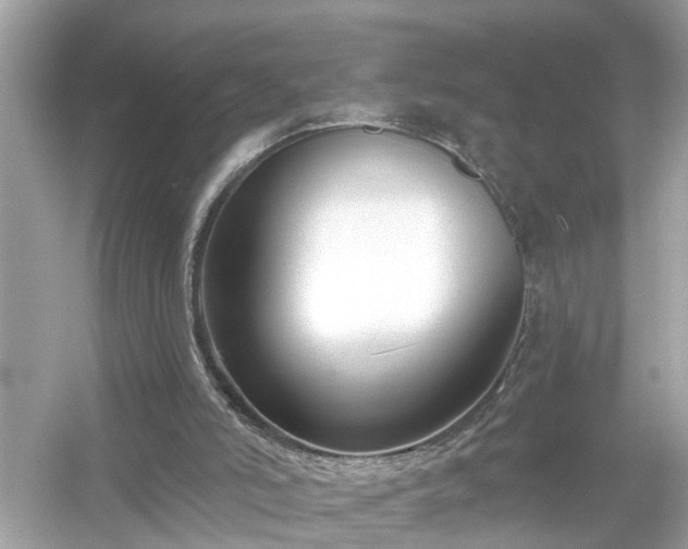 X0000054440006200508051911