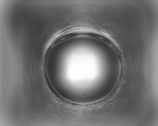 X0000054440007200508051911