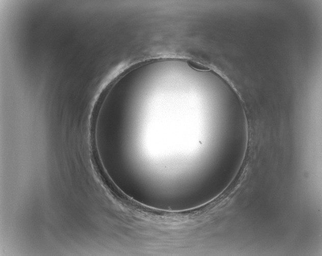 X0000054440008200508051911