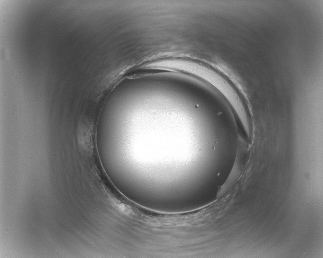 X0000054440009200508051911