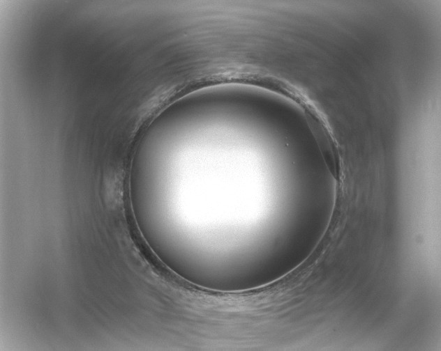 X0000054440010200508051911