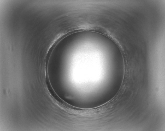 X0000054440011200508051911