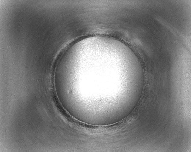 X0000054440012200508051911