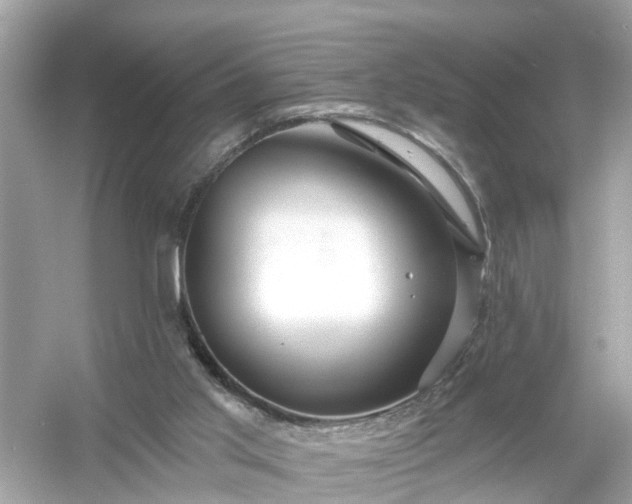 X0000054440013200508051911