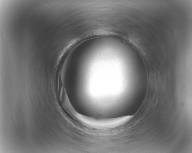 X0000054440015200508051911