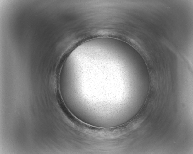 X0000054440016200508051911