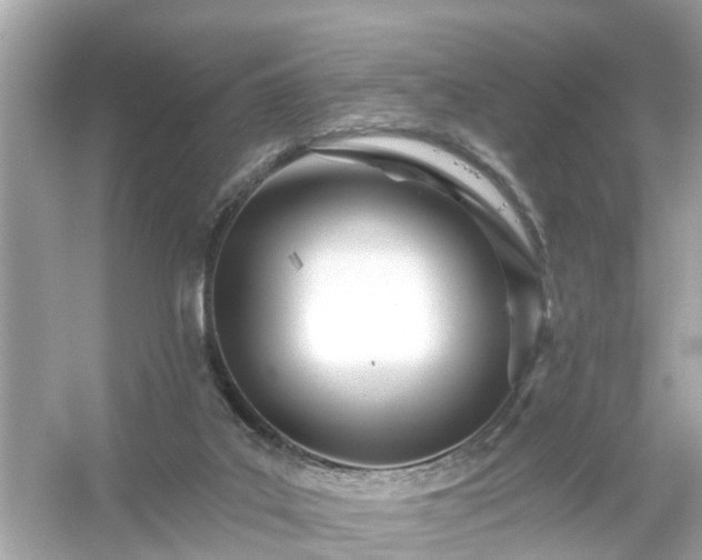 X0000054440019200508051910