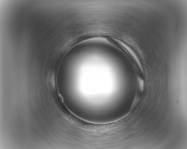 X0000054440021200508051910