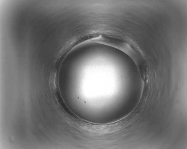 X0000054440023200508051910