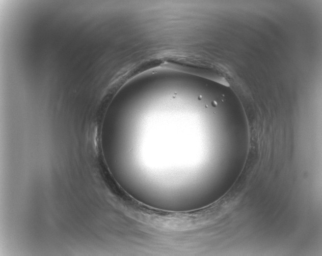 X0000054440024200508051910