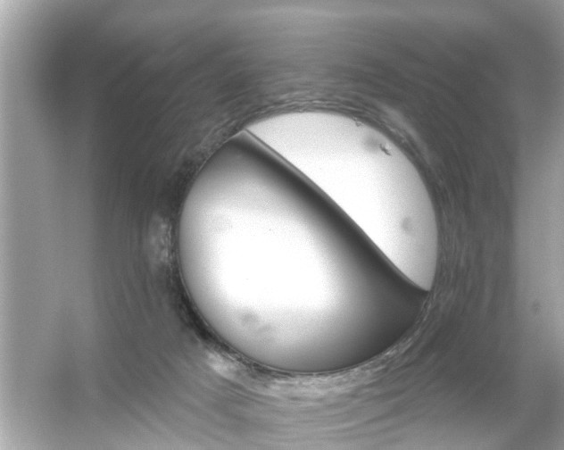 X0000054440025200508051910