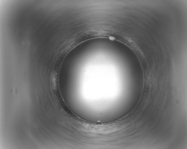 X0000054440026200508051910