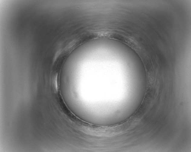 X0000054440028200508051910