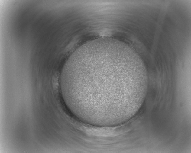 X0000054440032200508051910