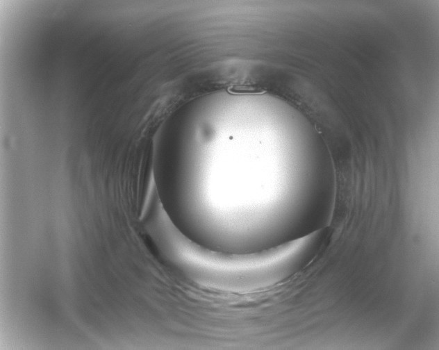 X0000054440035200508051910