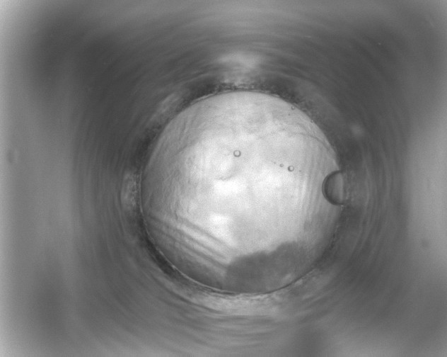 X0000054440036200508051910