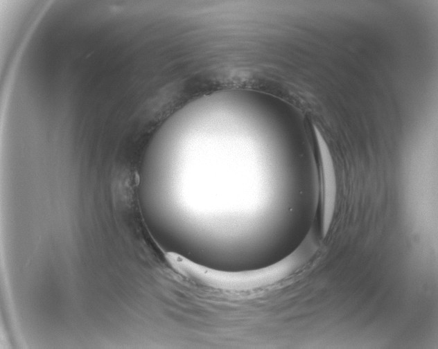 X0000054440037200508051910