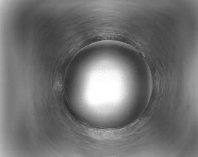 X0000054440040200508051910