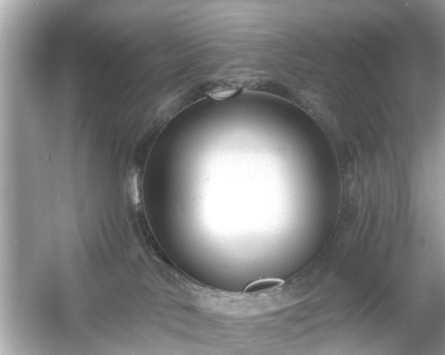 X0000054440042200508051910