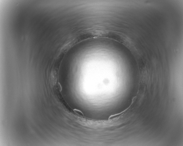 X0000054440043200508051910