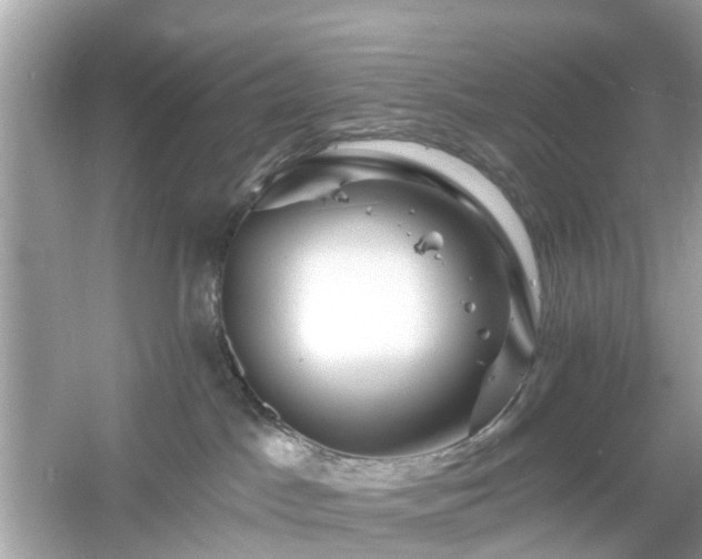 X0000054440045200508051910