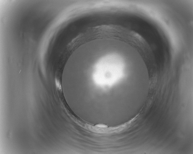 X0000054440047200508051910