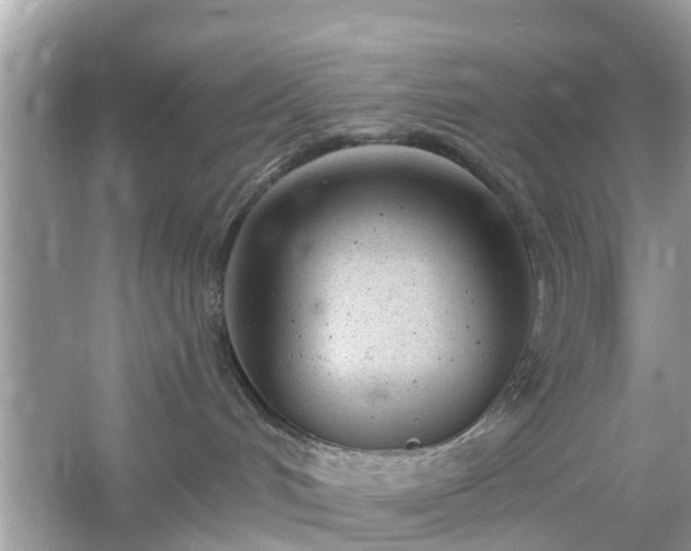 X0000054440048200508051910