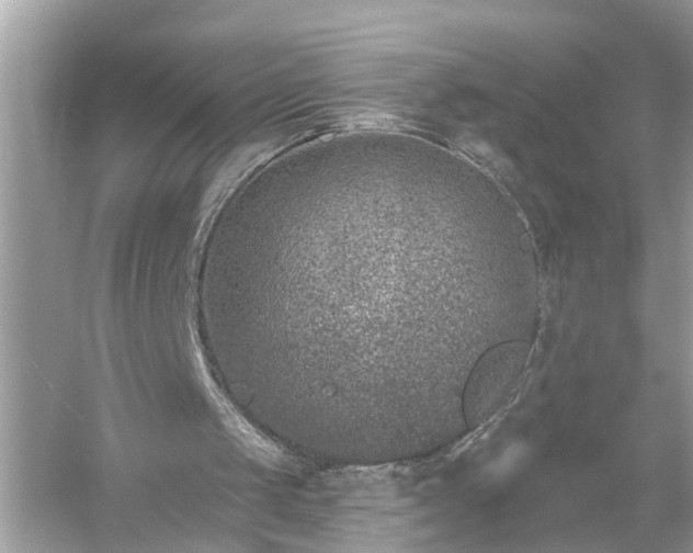 X0000054440049200508051909