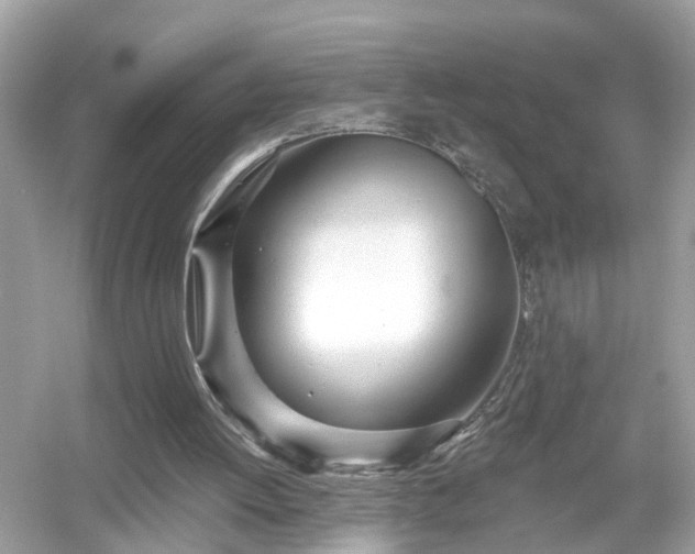 X0000054440052200508051909