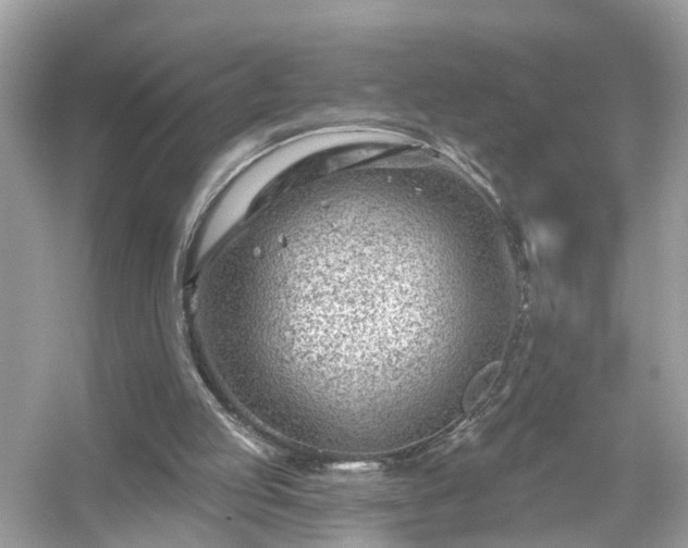 X0000054440053200508051909