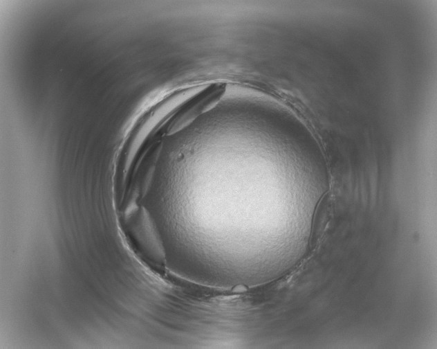 X0000054440054200508051909